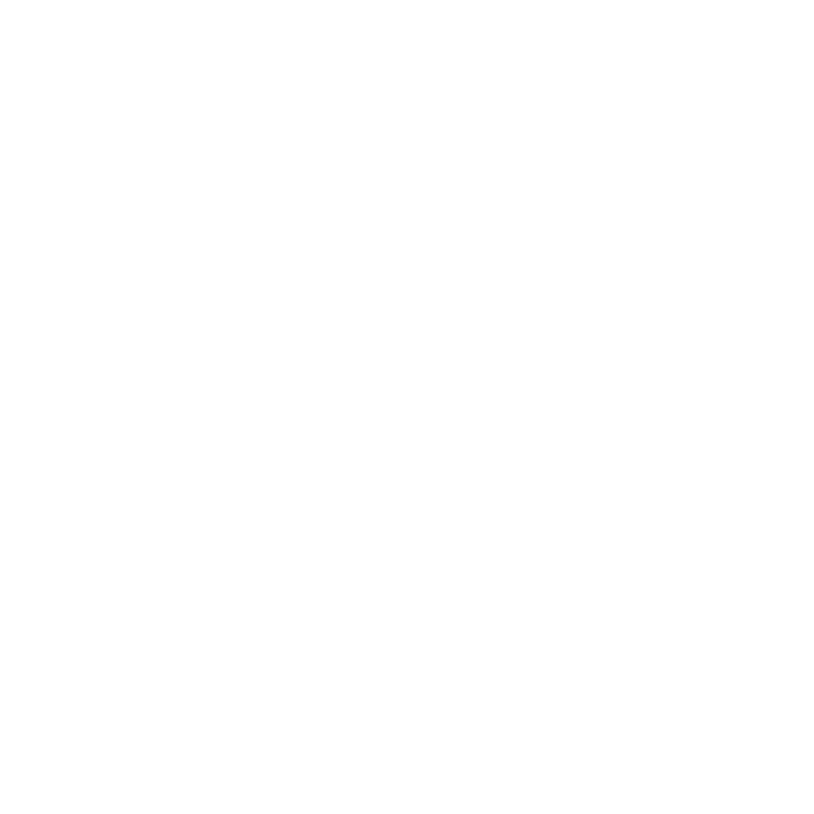 Hasi's Home Made